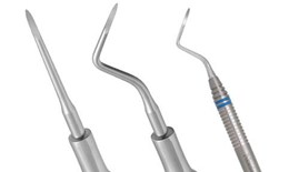Root Tip Picks