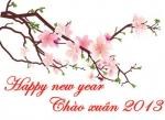 ĐÓN CHÀO XUÂN QUÝ TỴ - MUA HÀNG NHIỀU ƯU ĐÃI