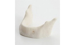 IMP-005-28 Plain Mandible