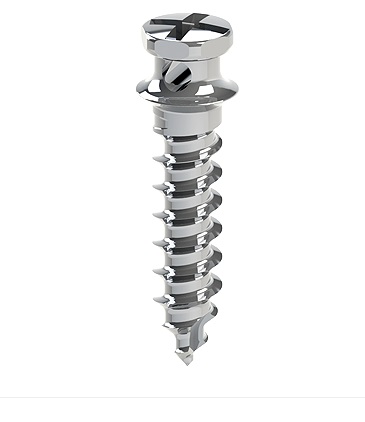 Chốt Minivis JEIL (Orthodontic Screw)